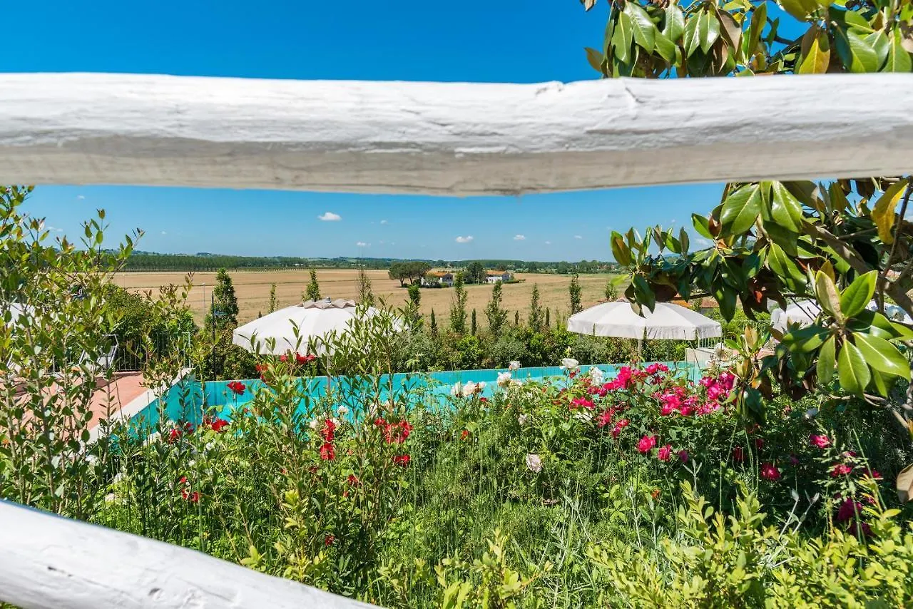 Wonderful House In Tuscany Near Pisa And Florence Molino del Roglio Italy